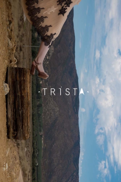 Ready to Wear: Trista featuring Lace and Tulle from Gelmor Lace