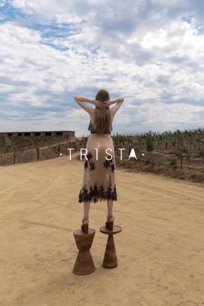 Ready to Wear: Trista featuring Lace and Tulle from Gelmor Lace