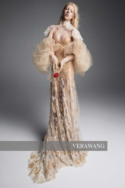 Gelmor lace vera wang simone bridal gown